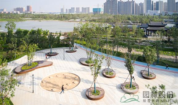 亚洲精品白浆高清久久久久久