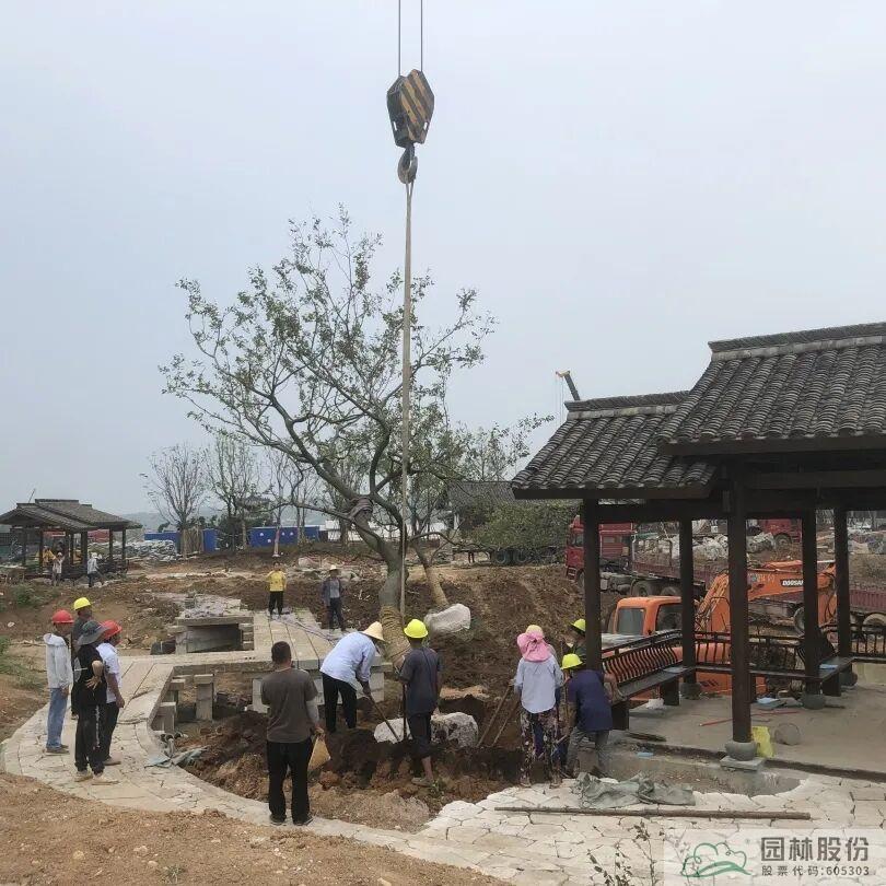 亚洲精品白浆高清久久久久久