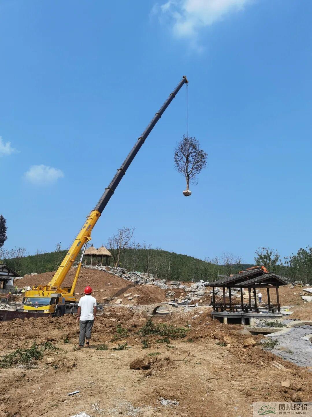 亚洲精品白浆高清久久久久久