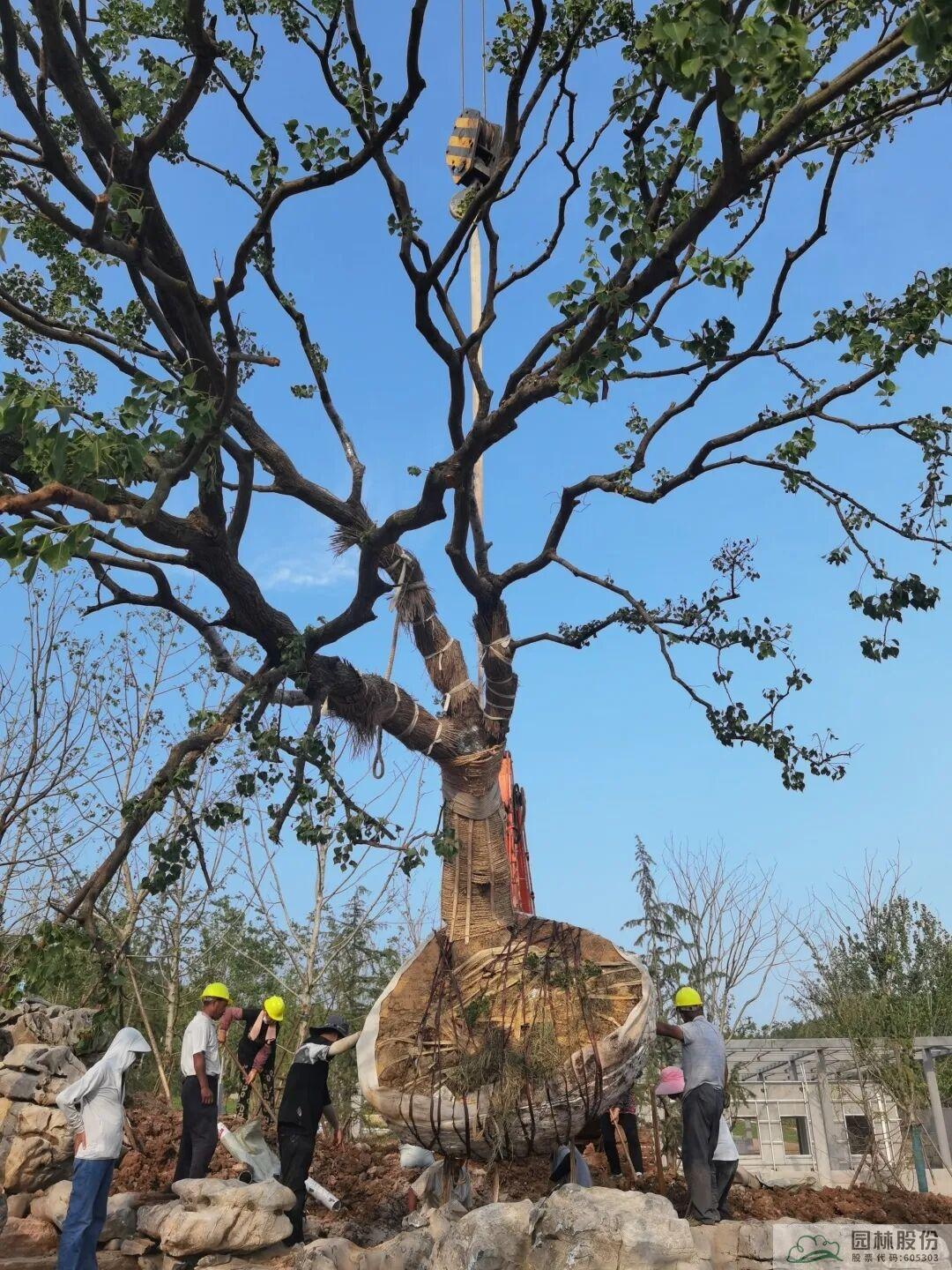 亚洲精品白浆高清久久久久久