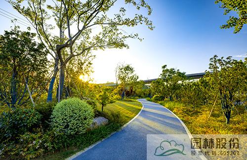 亚洲精品白浆高清久久久久久