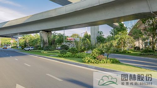 亚洲精品白浆高清久久久久久