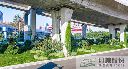 亚洲精品白浆高清久久久久久