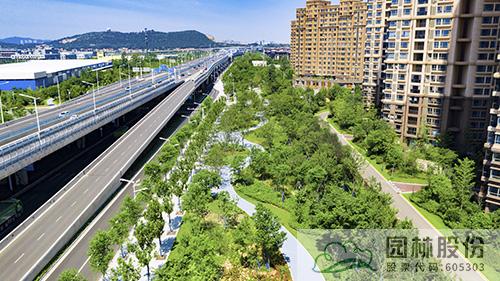 亚洲精品白浆高清久久久久久