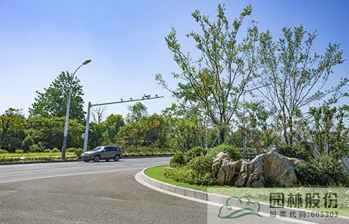 亚洲精品白浆高清久久久久久