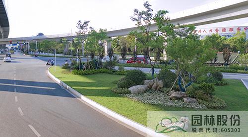 亚洲精品白浆高清久久久久久