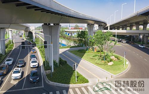 亚洲精品白浆高清久久久久久