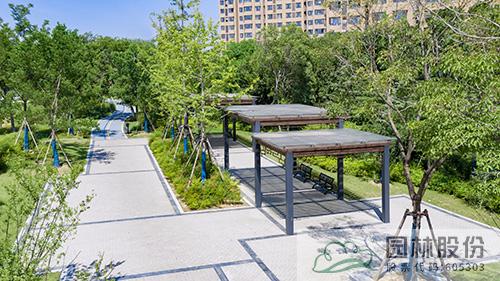 亚洲精品白浆高清久久久久久