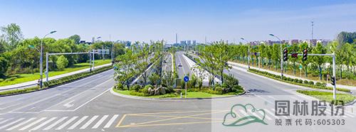 亚洲精品白浆高清久久久久久