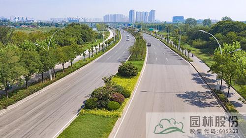 亚洲精品白浆高清久久久久久