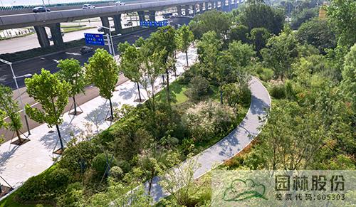 亚洲精品白浆高清久久久久久