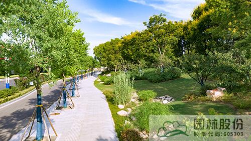 亚洲精品白浆高清久久久久久