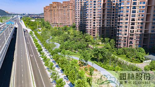 亚洲精品白浆高清久久久久久