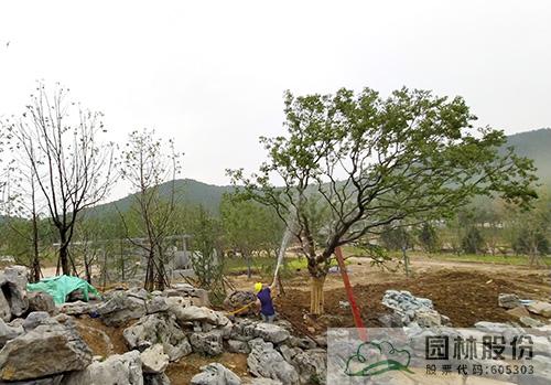 亚洲精品白浆高清久久久久久