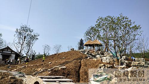 亚洲精品白浆高清久久久久久