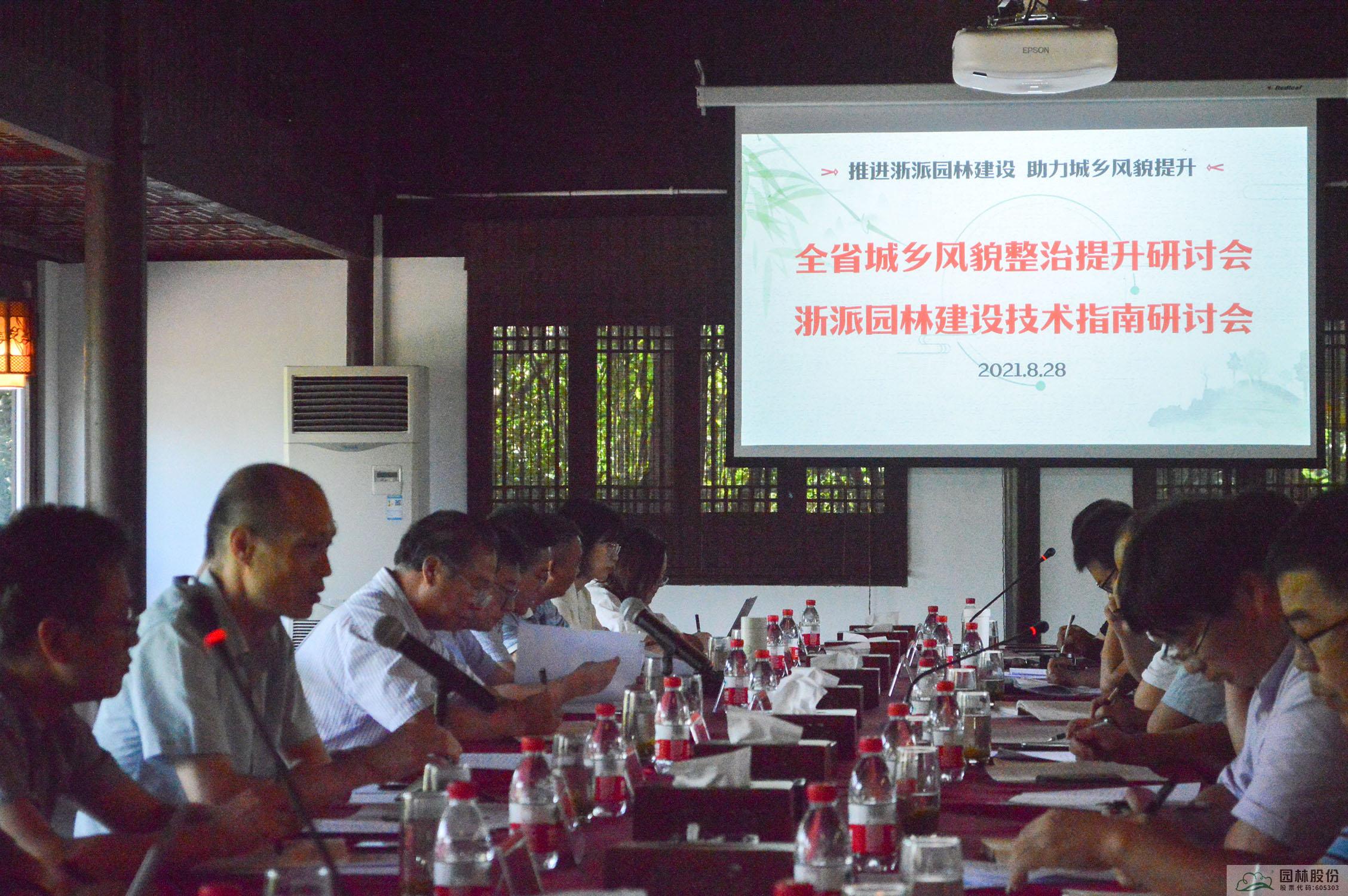 亚洲精品白浆高清久久久久久