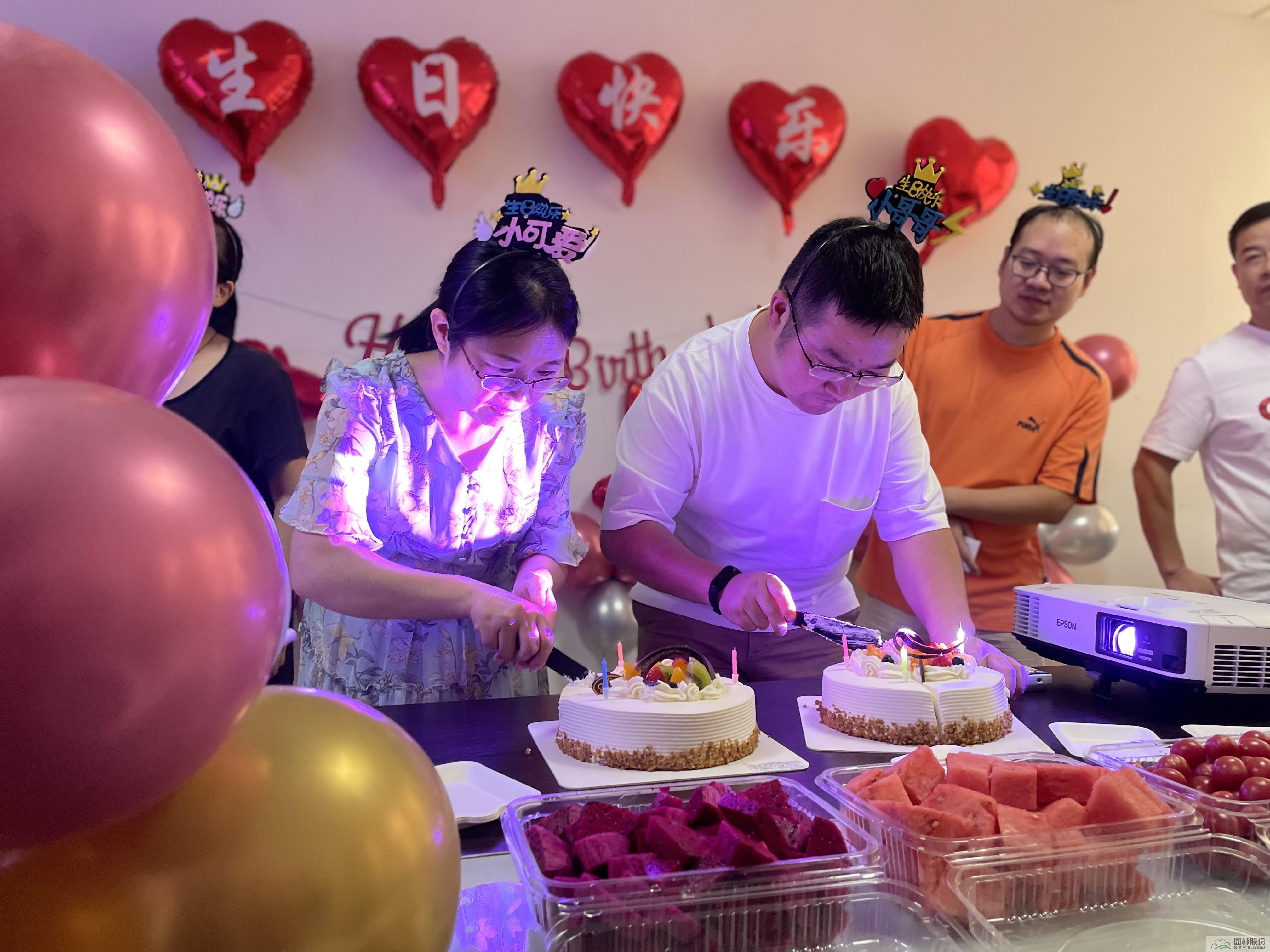 亚洲精品白浆高清久久久久久