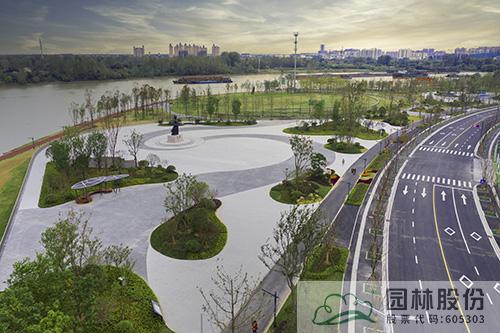 亚洲精品白浆高清久久久久久