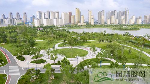 亚洲精品白浆高清久久久久久