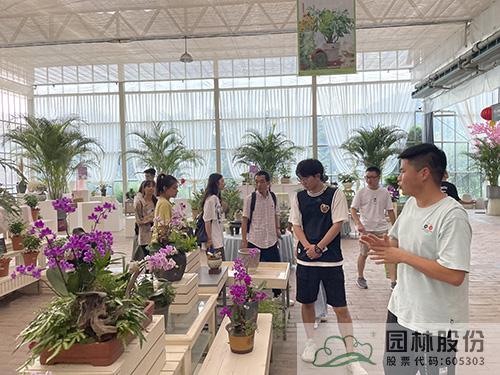 亚洲精品白浆高清久久久久久