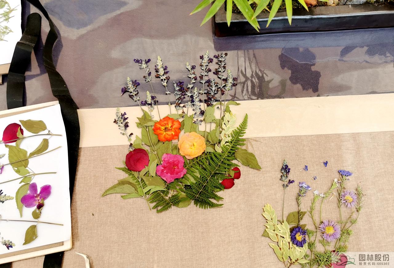 亚洲精品白浆高清久久久久久