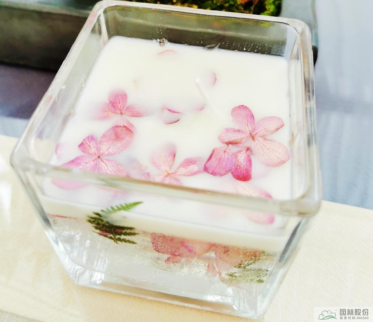 亚洲精品白浆高清久久久久久