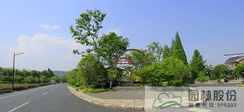 亚洲精品白浆高清久久久久久