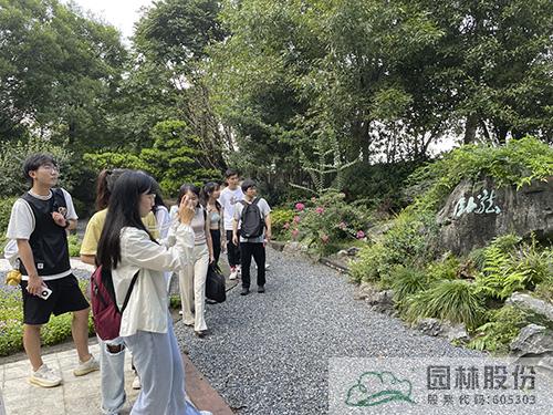 亚洲精品白浆高清久久久久久