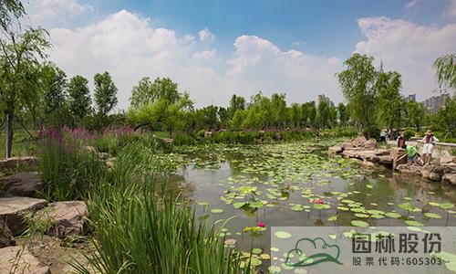 亚洲精品白浆高清久久久久久