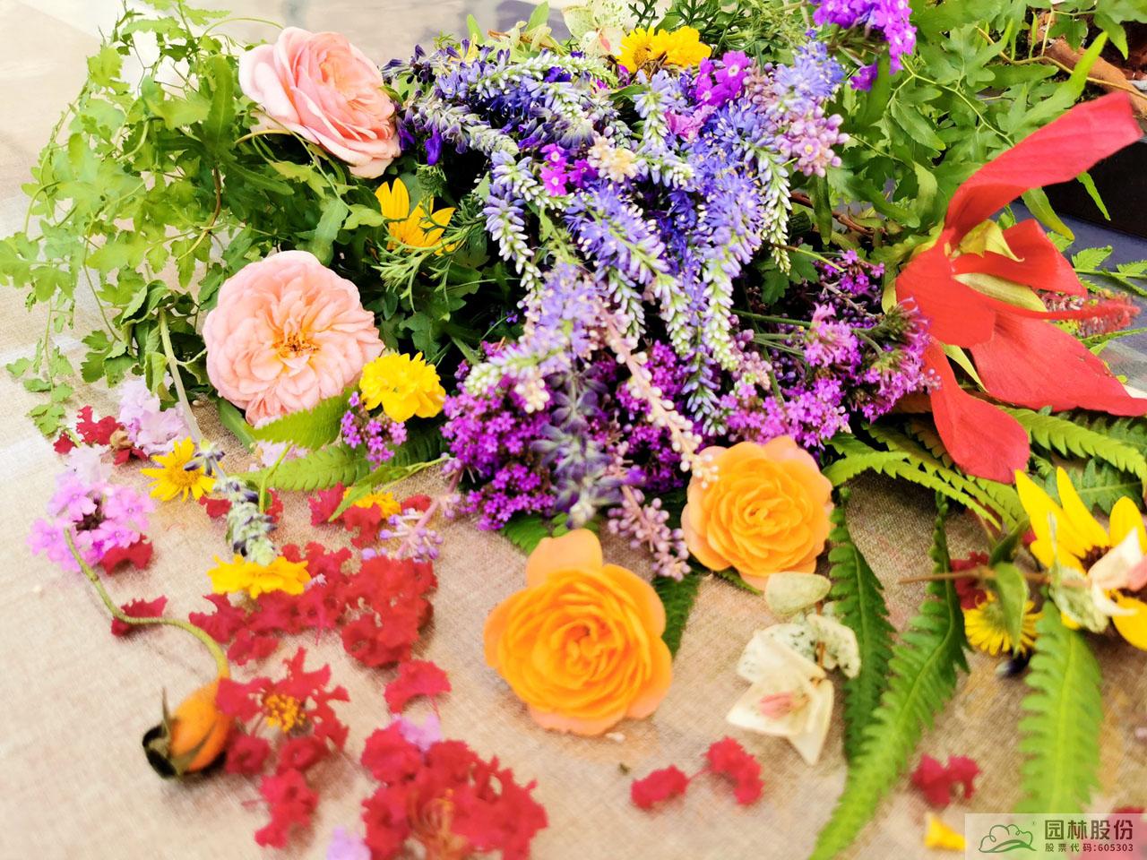 亚洲精品白浆高清久久久久久