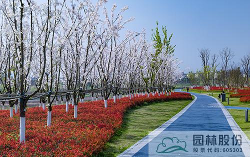 亚洲精品白浆高清久久久久久