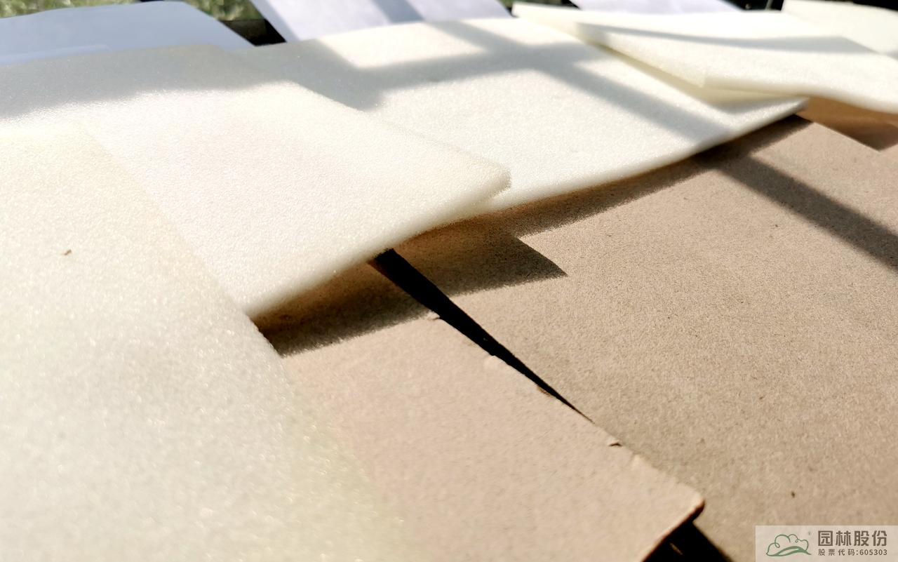 亚洲精品白浆高清久久久久久