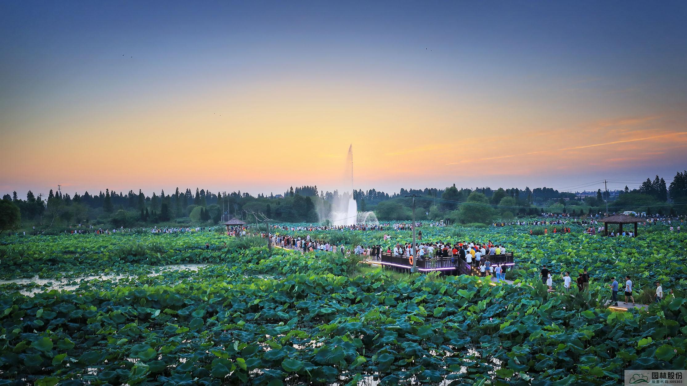 亚洲精品白浆高清久久久久久