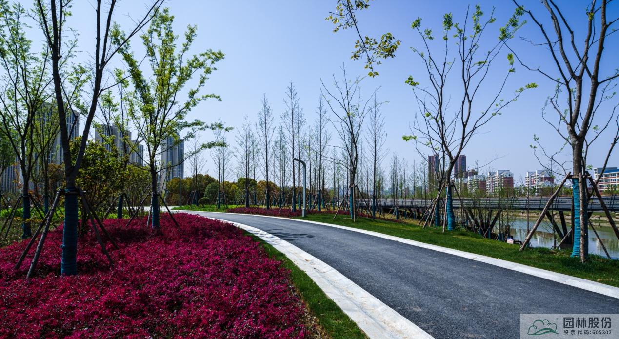 亚洲精品白浆高清久久久久久