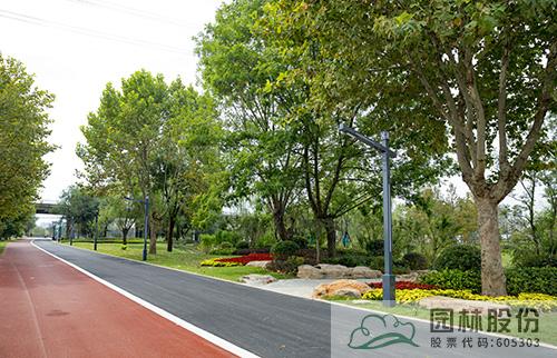 亚洲精品白浆高清久久久久久