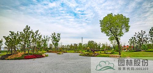 亚洲精品白浆高清久久久久久