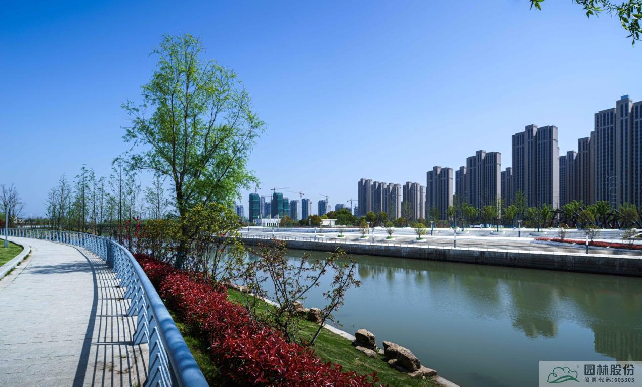 亚洲精品白浆高清久久久久久