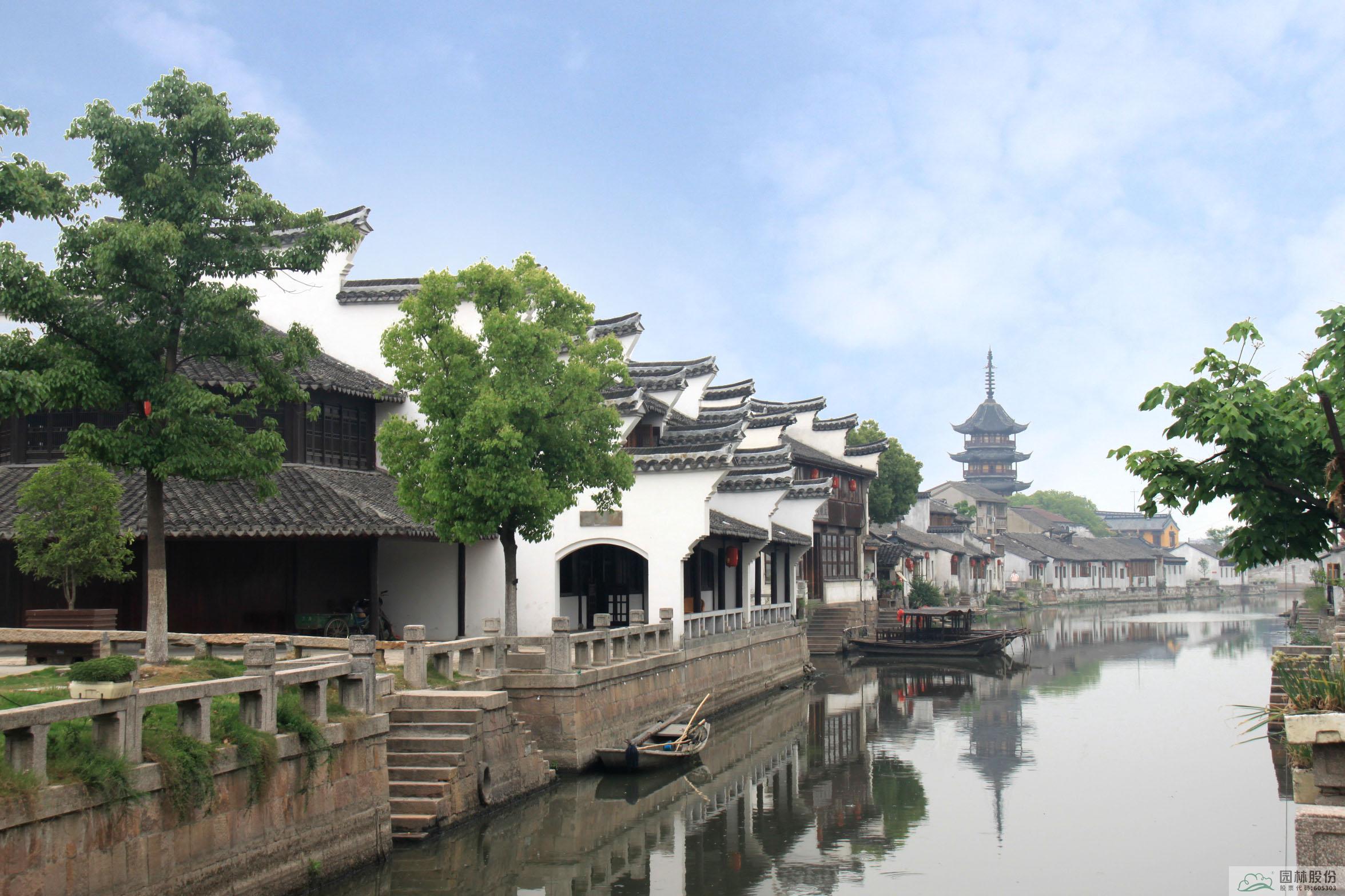 亚洲精品白浆高清久久久久久