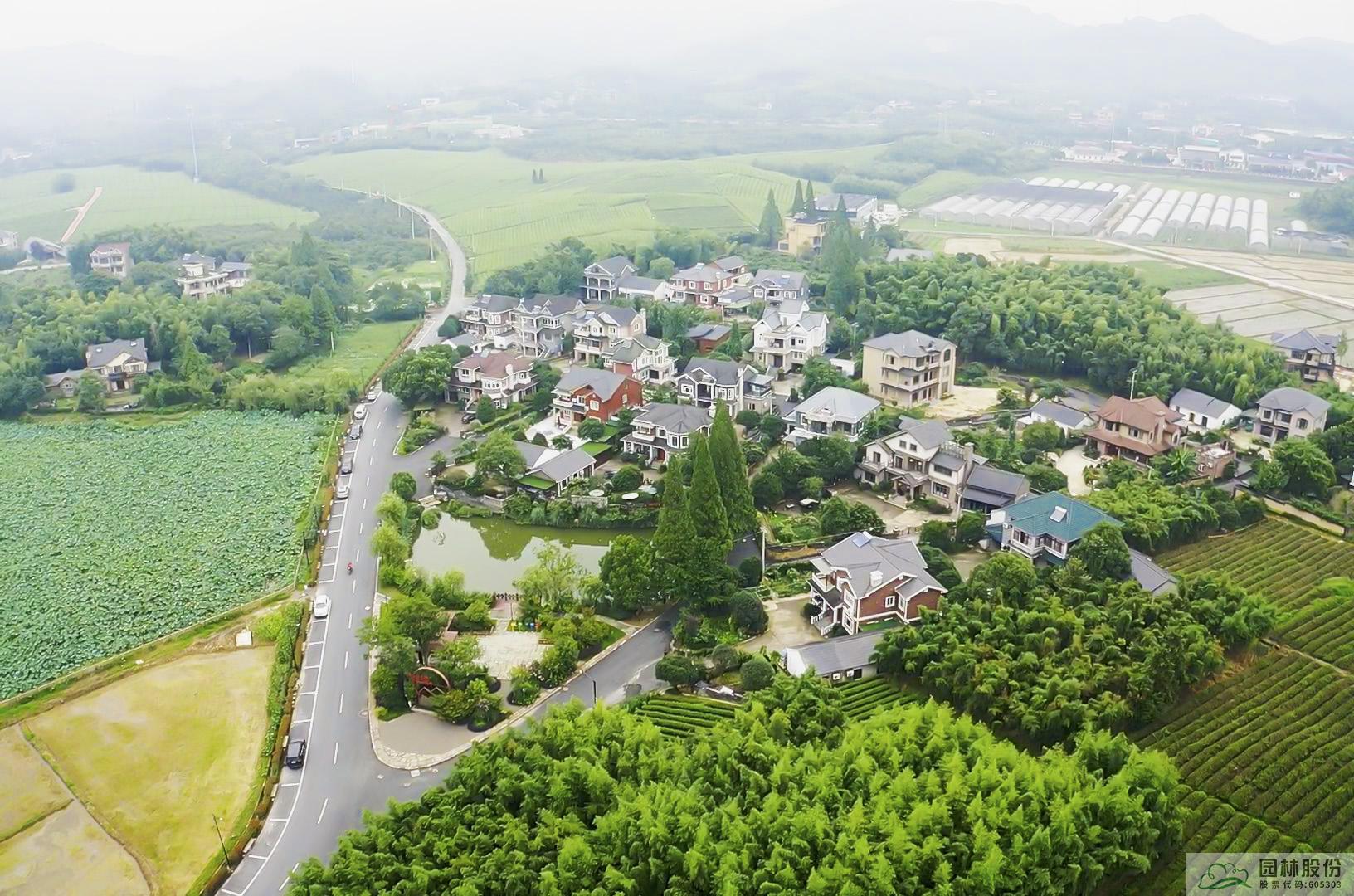 亚洲精品白浆高清久久久久久