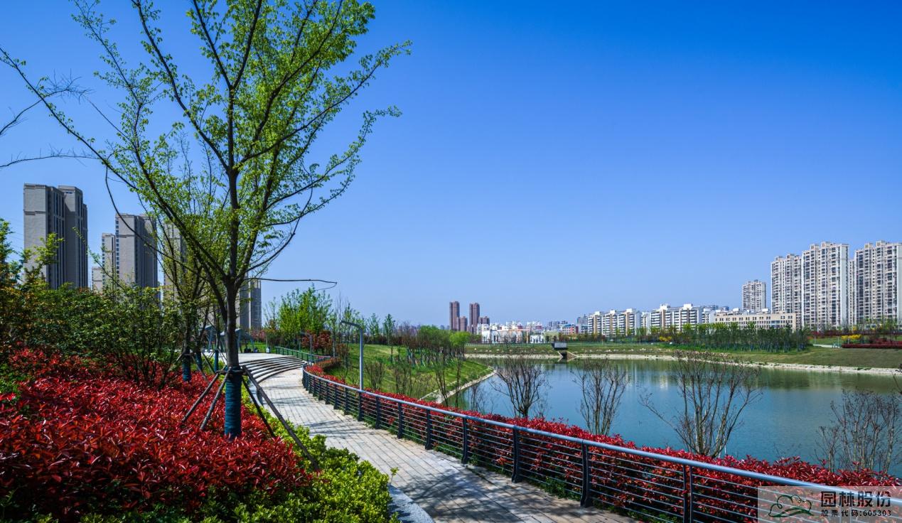 亚洲精品白浆高清久久久久久