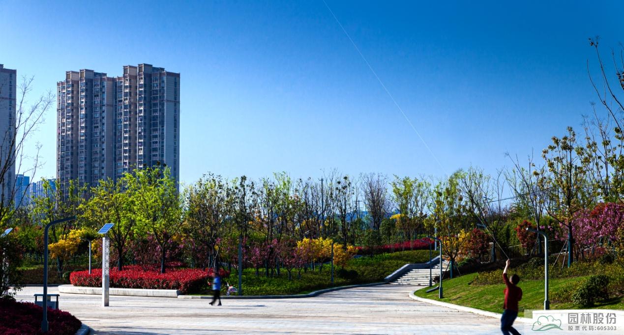 亚洲精品白浆高清久久久久久