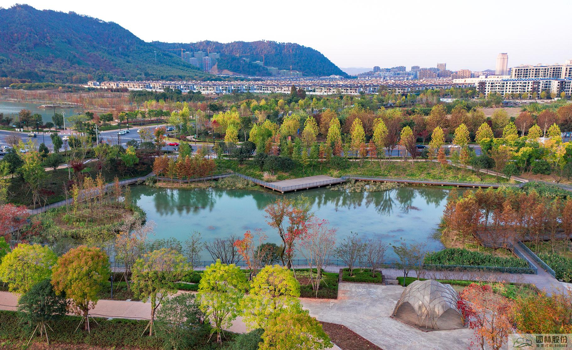 亚洲精品白浆高清久久久久久