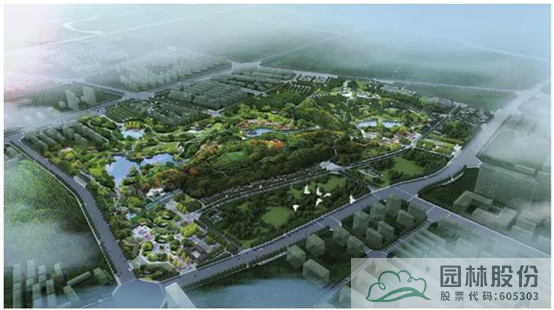 亚洲精品白浆高清久久久久久