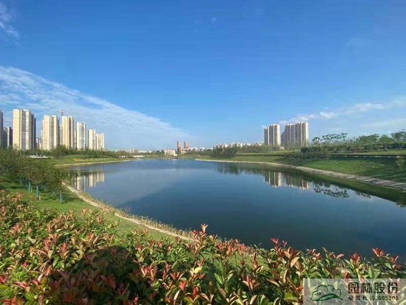 亚洲精品白浆高清久久久久久