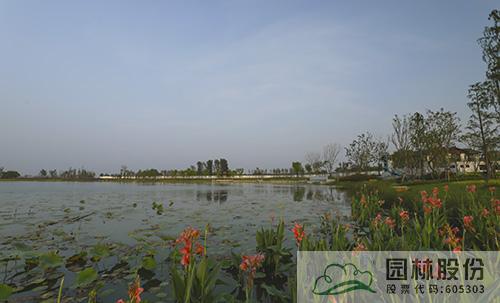 亚洲精品白浆高清久久久久久