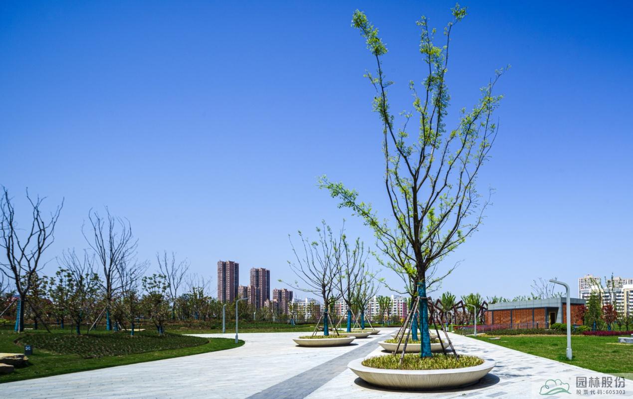 亚洲精品白浆高清久久久久久