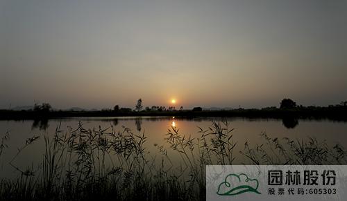 亚洲精品白浆高清久久久久久