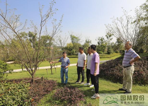 亚洲精品白浆高清久久久久久