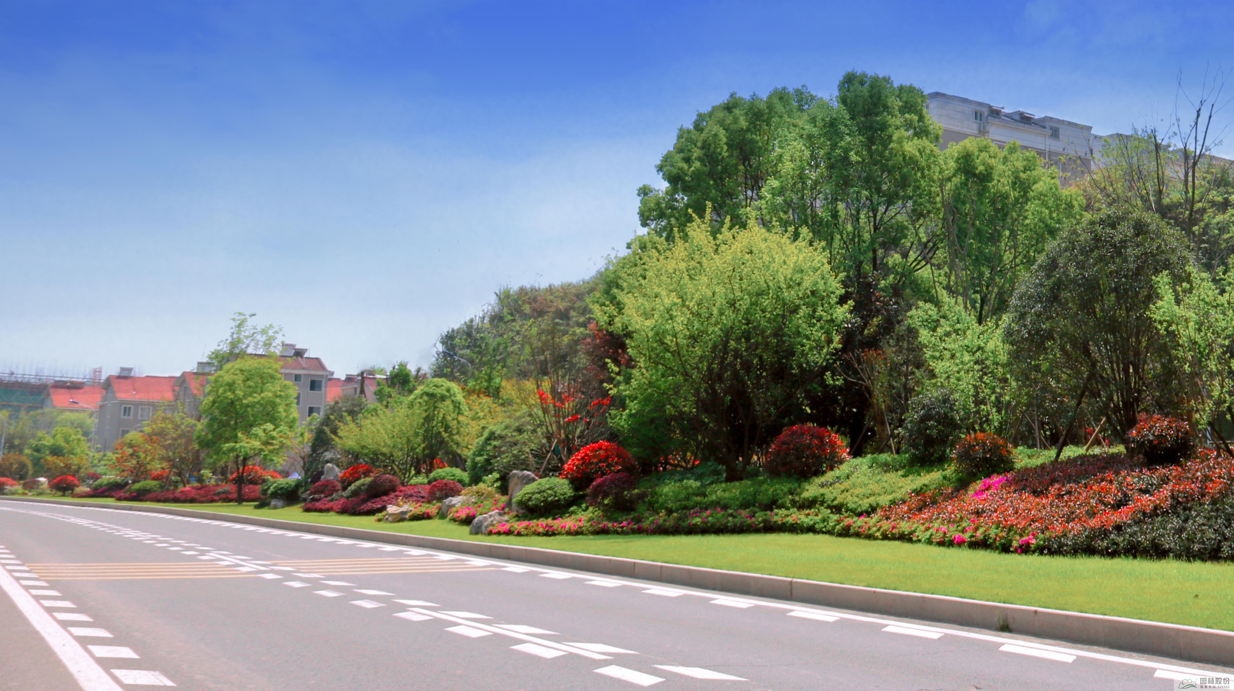 亚洲精品白浆高清久久久久久