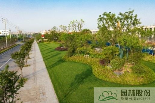 亚洲精品白浆高清久久久久久